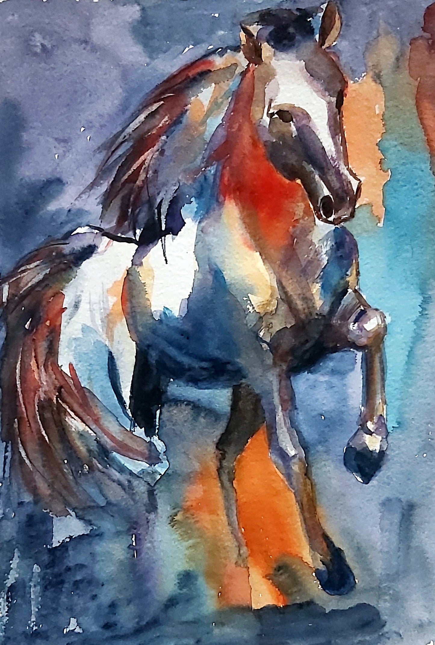 Be Wild and Chase your Dreams!