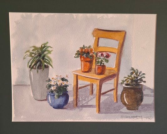Home is where the Plants are