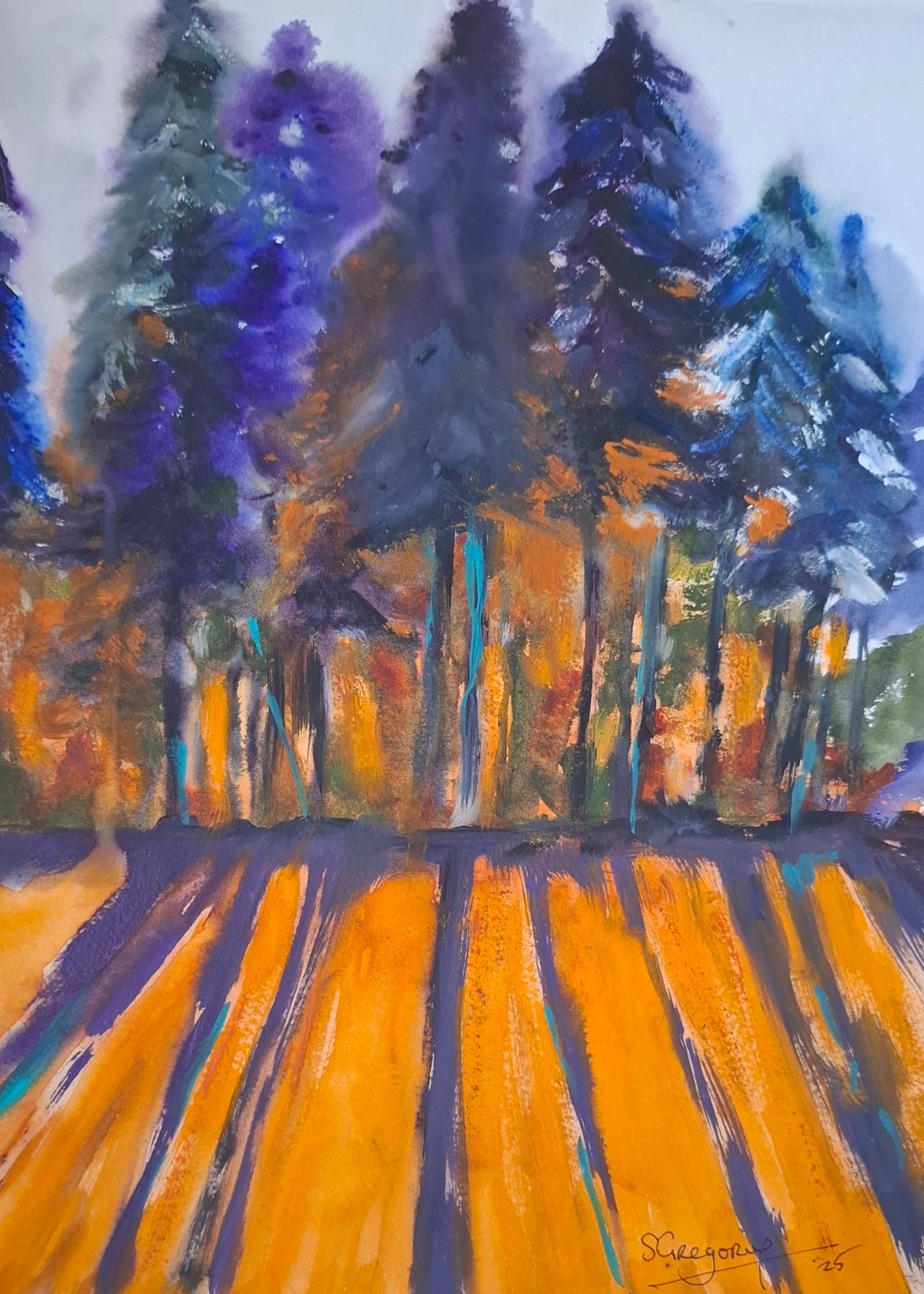 Forest Aglow