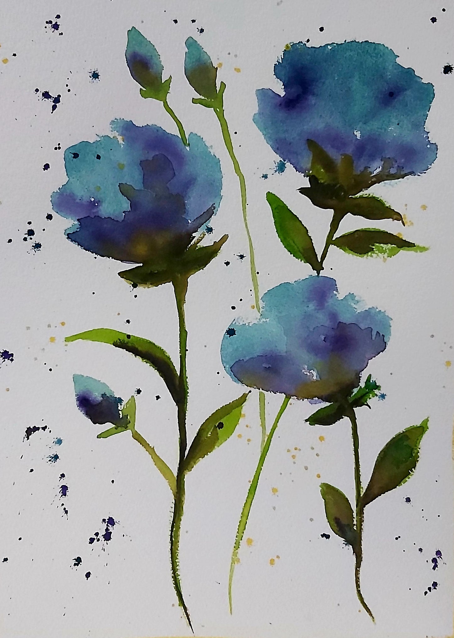 Blue Roses