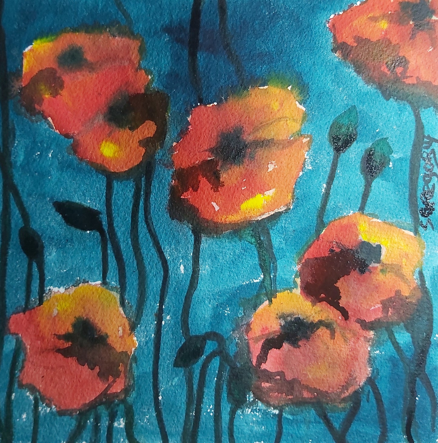 Poppy Love